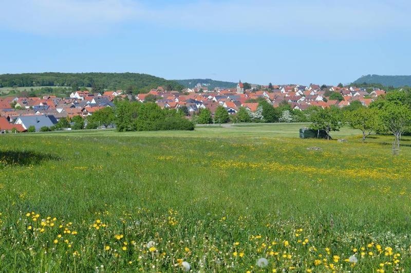 Ferienwohnung Alb-Traum Erkenbrechtsweiler Bagian luar foto